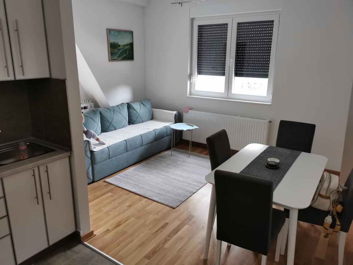 Apartman Divcigora Sokic Divčibare エクステリア 写真