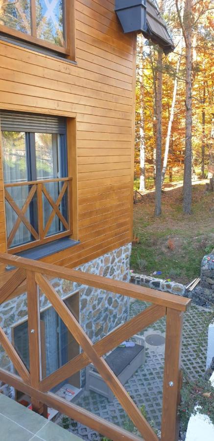 Apartman Divcigora Sokic Divčibare エクステリア 写真