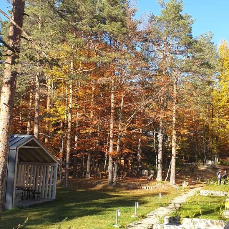 Apartman Divcigora Sokic Divčibare エクステリア 写真